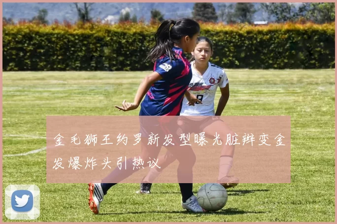 金毛狮王约罗新发型曝光脏辫变金发爆炸头引热议